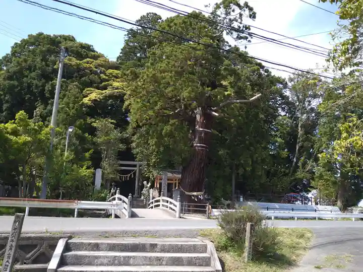 大國魂神社の周辺