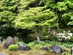 南禅寺の庭園