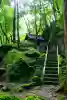 浄丸神社(兵庫県)