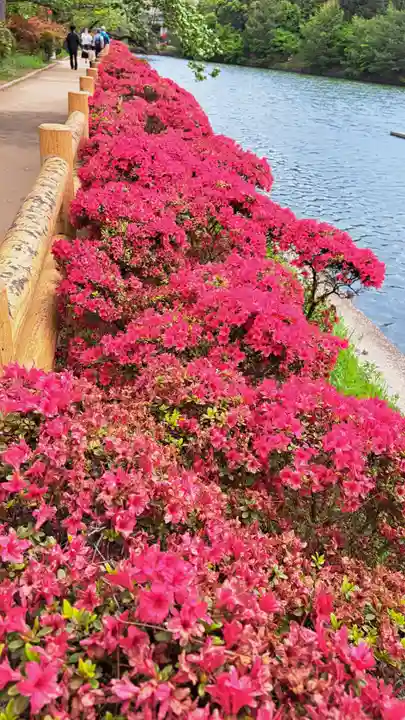 長岡天満宮(京都府)