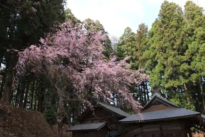 若草木神社の自然
