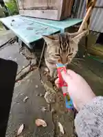 玉野御嶽神社(愛知県)