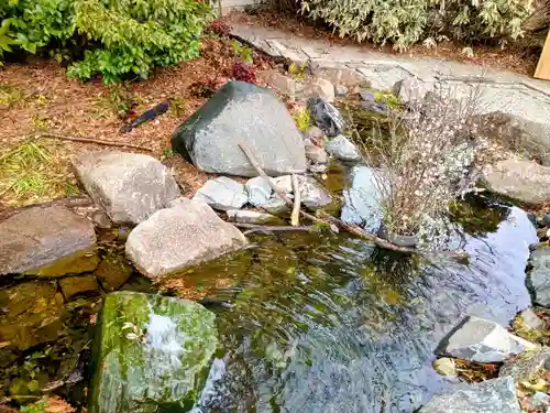 武蔵一宮氷川神社(埼玉県)