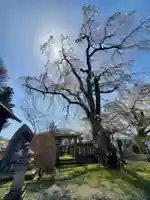 妙徳寺(福島県)