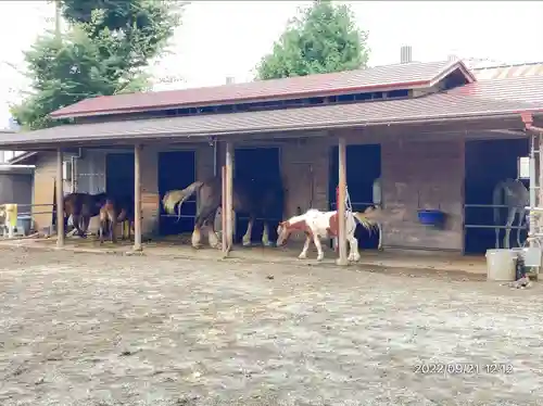 小室浅間神社(山梨県)