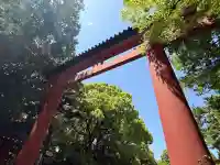 武蔵一宮氷川神社(埼玉県)