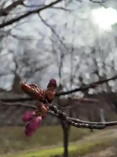 厚別神社(北海道)