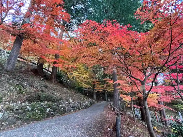温泉寺(岐阜県)
