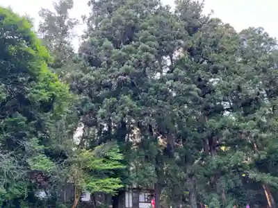 大宮温泉神社(栃木県)