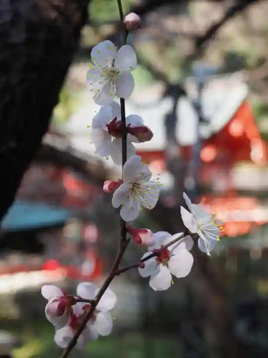 荏柄天神社(神奈川県)