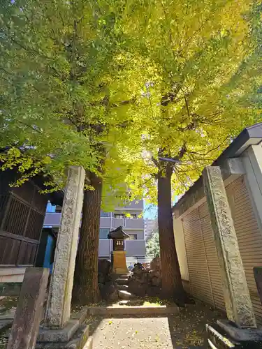 慈恵稲荷神社(埼玉県)