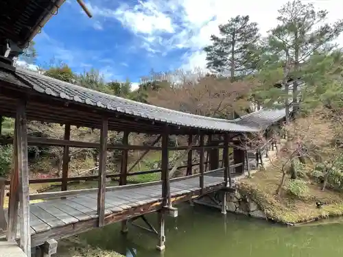 高台寺（高台寿聖禅寺・高臺寺）(京都府)