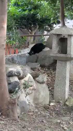 花山稲荷神社(京都府)