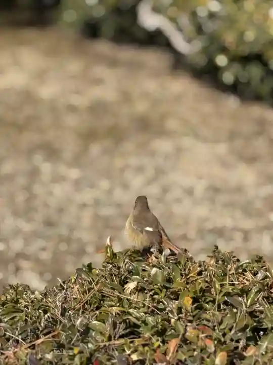 伊勢神宮内宮(皇大神宮)(三重県)