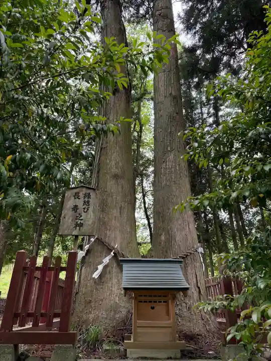 都々古別神社(八槻)(福島県)