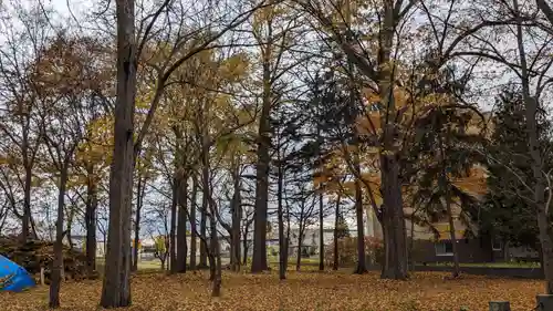 興国神社の自然