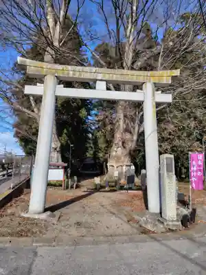 智賀都神社(栃木県)