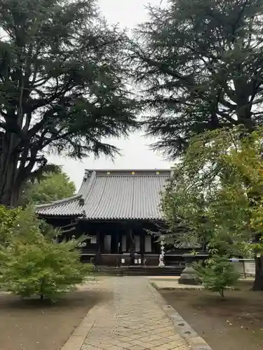 寛永寺(根本中堂)(東京都)