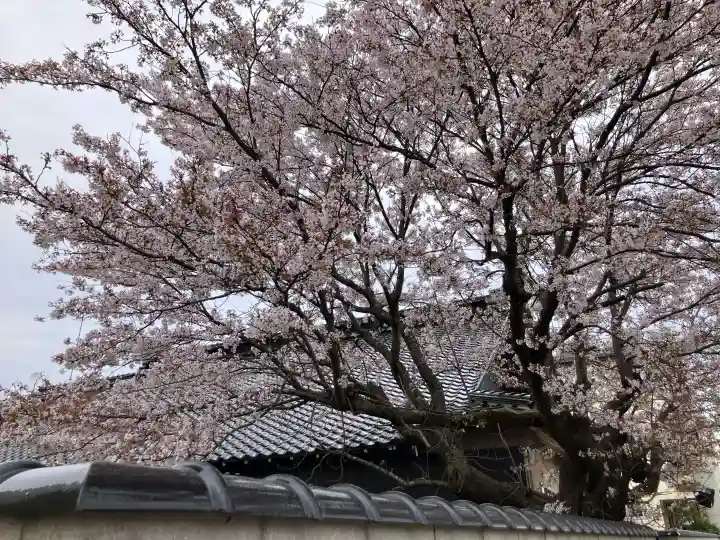 最勝寺の{uncategorized: "未分類", other: "その他", undefined: "問題あり", building: "その他建物", grave: "お墓", sacred_gate: "鳥居", guardian: "狛犬", statue: "像", buddha: "仏像", history: "歴史", nature: "自然", garden: "庭園", animal: "動物", pagoda: "塔", temizu: "手水舎", mountain_gate: "山門・神門", sanctuary: "本殿・本堂", subordinate: "末社・摂社", art: "芸術", scenery: "景色", jizo: "地蔵", ema: "絵馬", goshuin: "御朱印", omikuji: "おみくじ", items: "授与品その他", amulet: "お守り", goshuincho: "御朱印帳", eats: "食事", festival: "お祭り", votive_dance: "神楽", shichigosan: "七五三参", wedding: "結婚式", experience: "体験その他", initially: "初詣", around: "周辺", anti_infection: "感染症対策"}