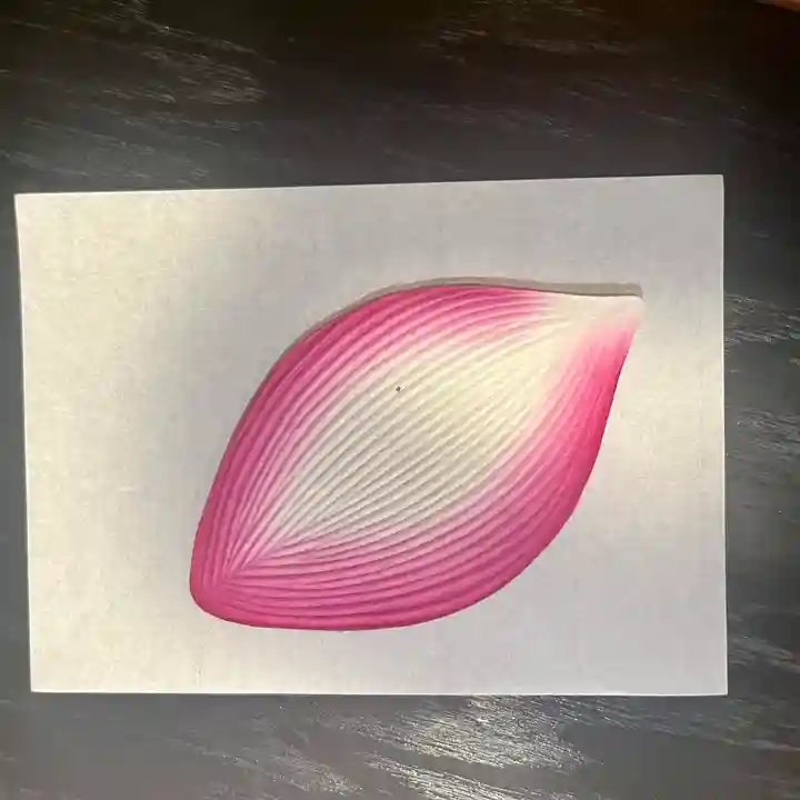 普賢寺(東京都)