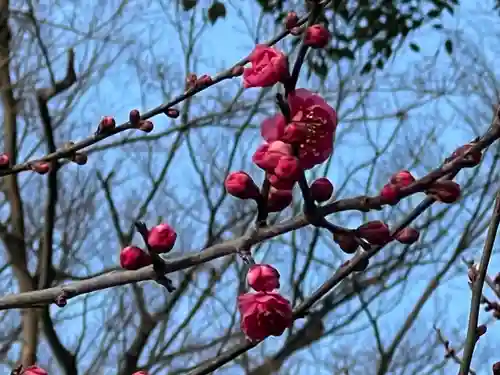 北野天満宮(京都府)