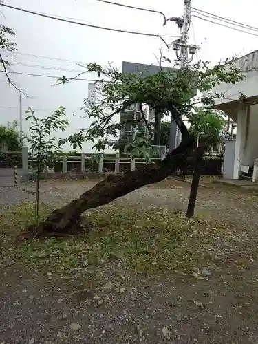 五ノ神社の庭園
