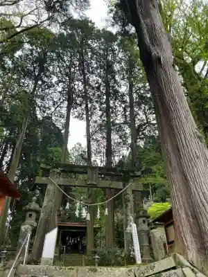高森阿蘇神社(熊本県)