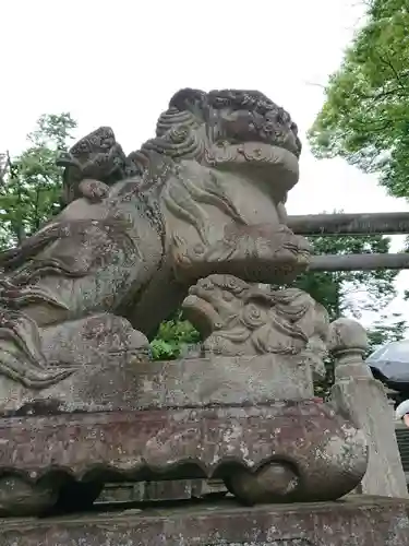 安積國造神社の狛犬