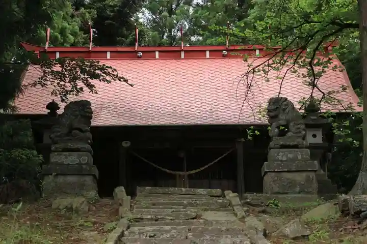 菅布禰神社の狛犬