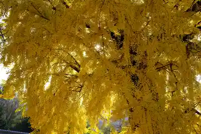 丹生酒殿神社(和歌山県)