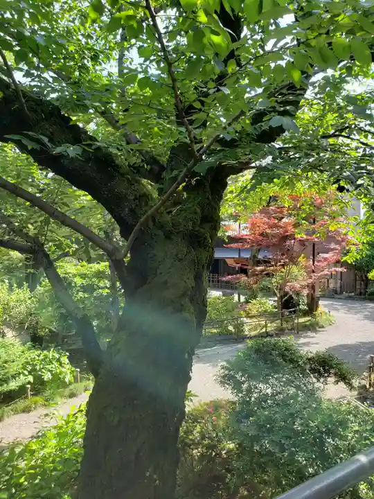 乃木神社(東京都)
