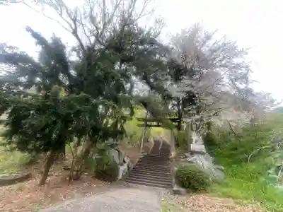駒形嶽駒弓神社(長野県)