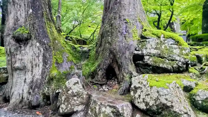 永平寺(福井県)