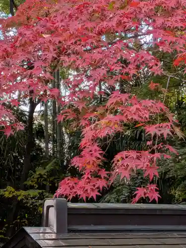 大正寺(東京都)