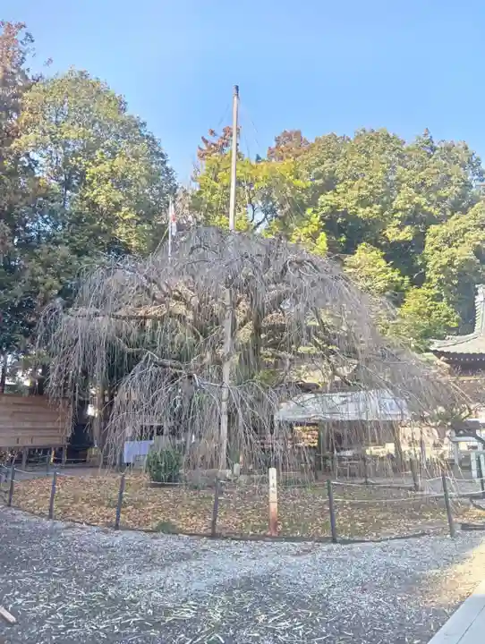 (長良)天神神社(岐阜県)