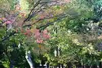 三津厳島神社(愛媛県)