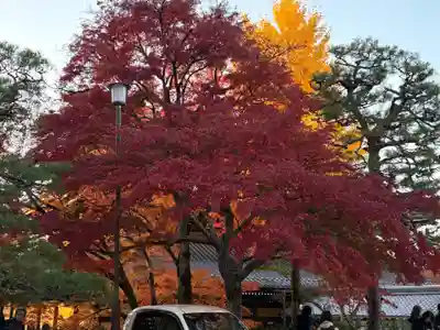 南禅寺(京都府)