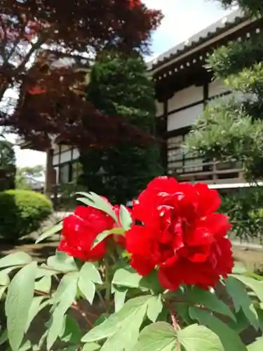 浄国寺の庭園