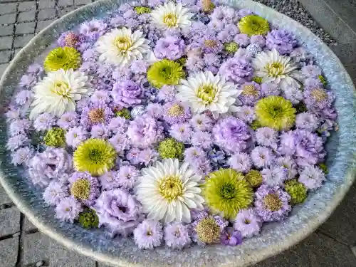 行田八幡神社(埼玉県)