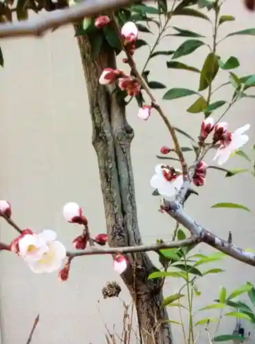 本郷氷川神社(東京都)