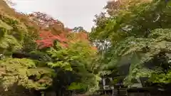 金蔵寺(京都府)