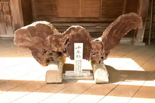 出石寺(愛媛県)