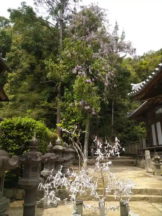 由加神社(和気由加神社)の自然