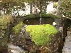 雲巌寺(栃木県)