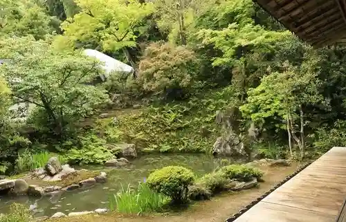 浄住寺の庭園