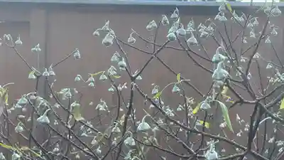 宝積山光前寺(長野県)