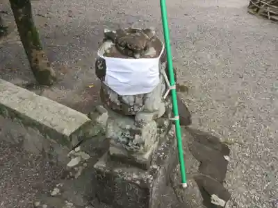 建部大社の狛犬