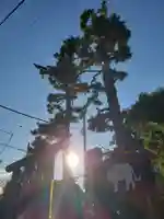 御霊神社のその他建物