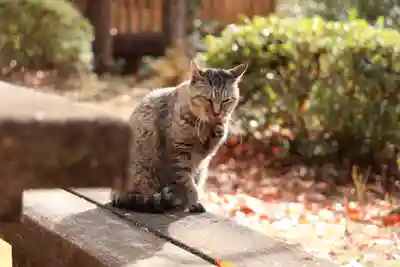 玉野御嶽神社(愛知県)