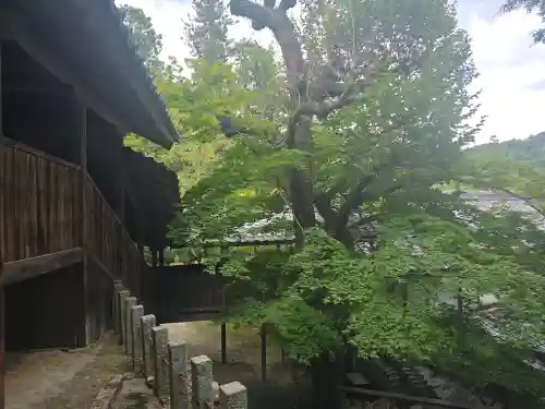 神峯山寺(大阪府)